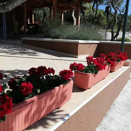 Appartement Grozdana Murter